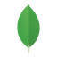 Mongodb